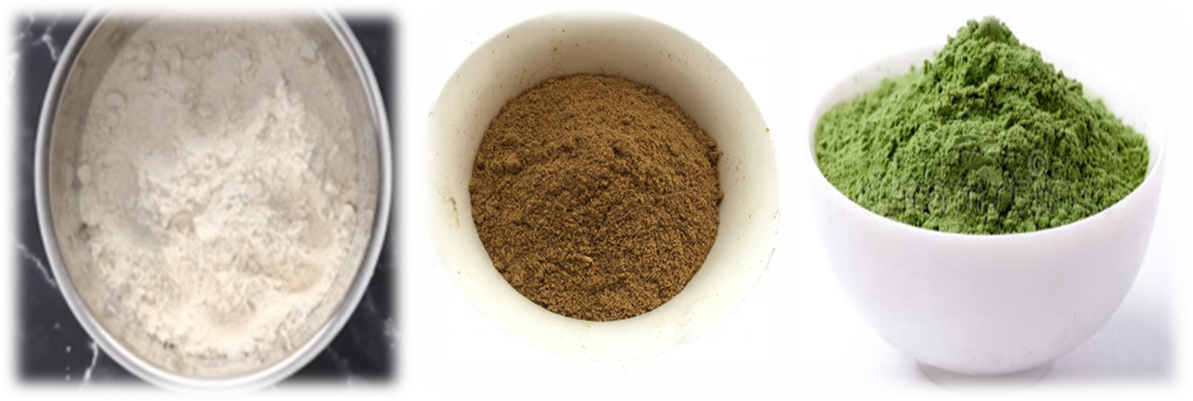 Food Processing